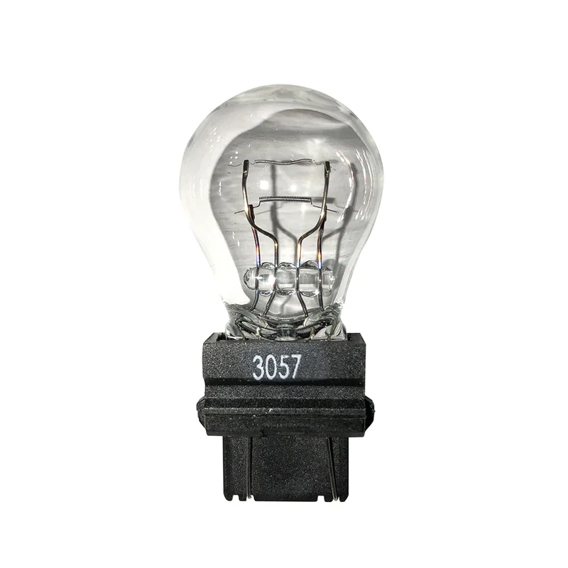 bulbstock55386