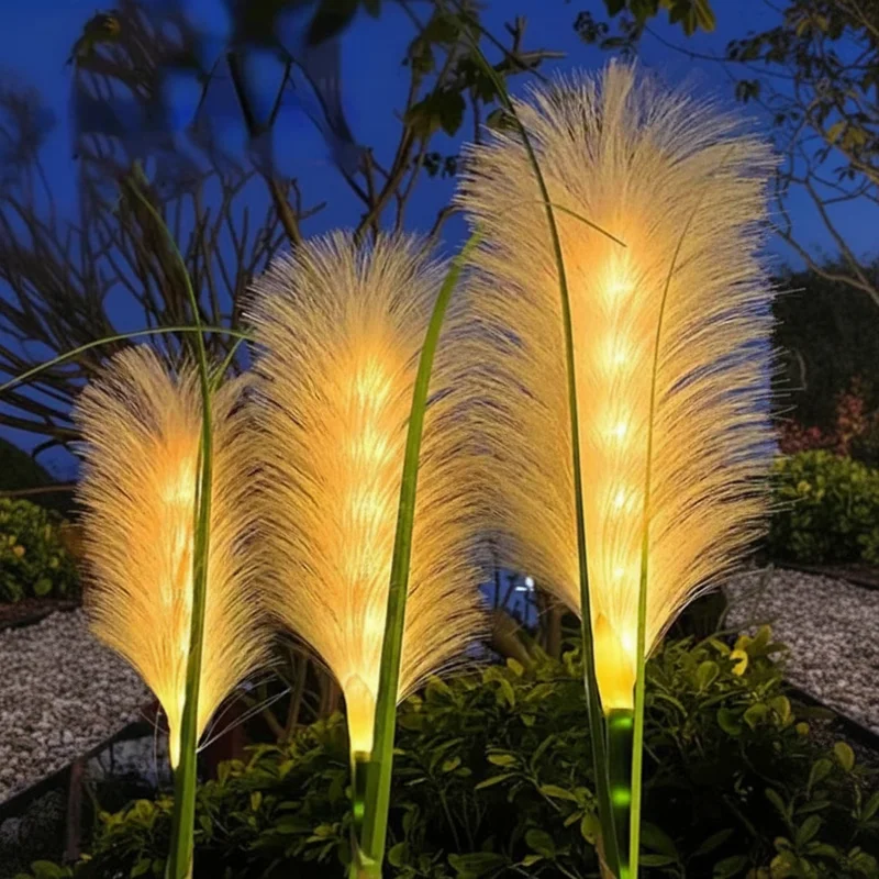 clarity-glow58592