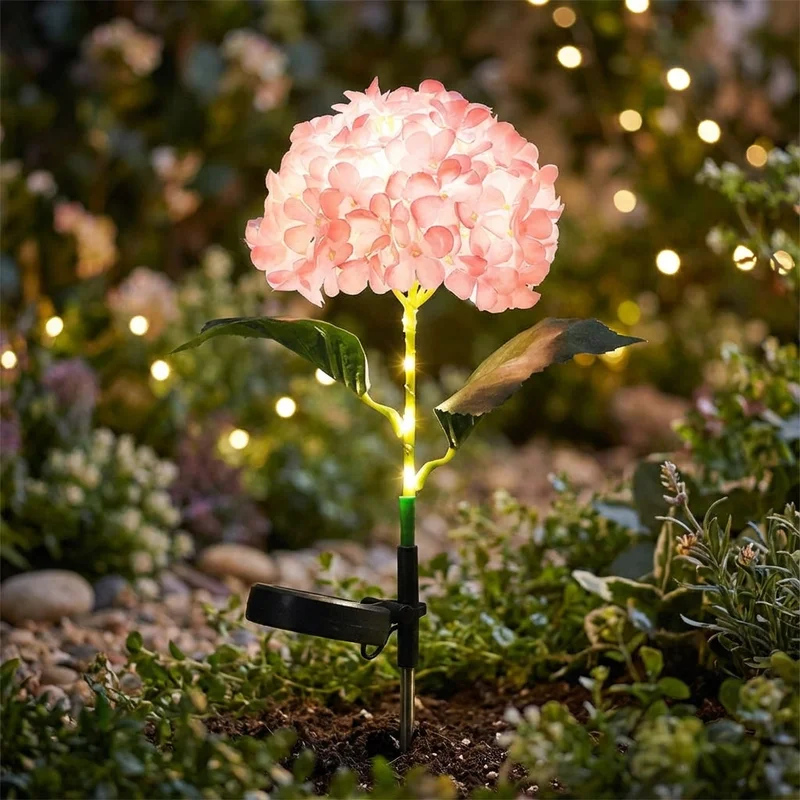 clarity-glow70109