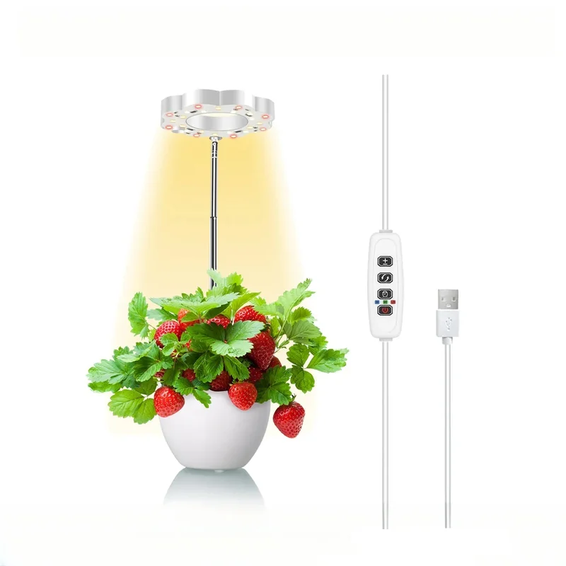 lightingwill56745