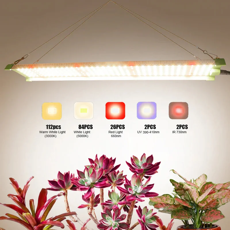 lightingwill56878