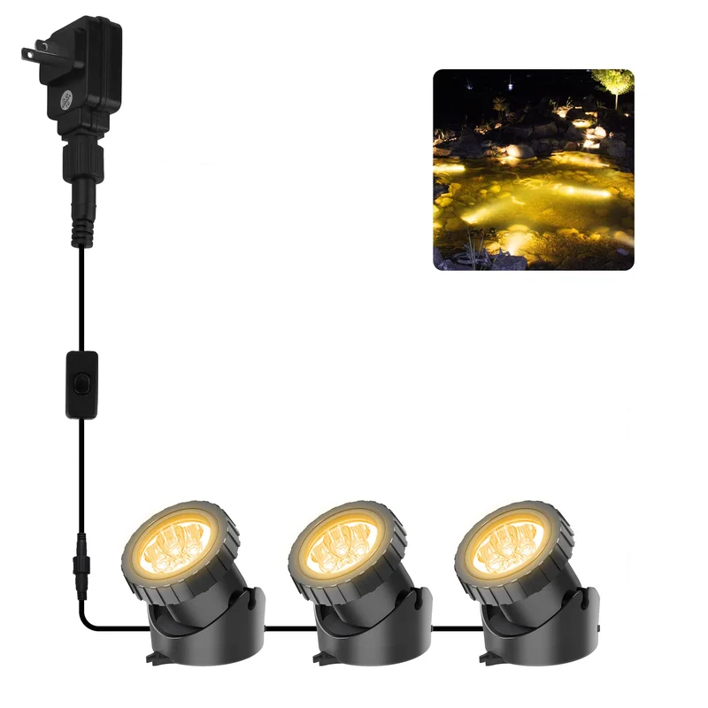 lightsdaddy103662