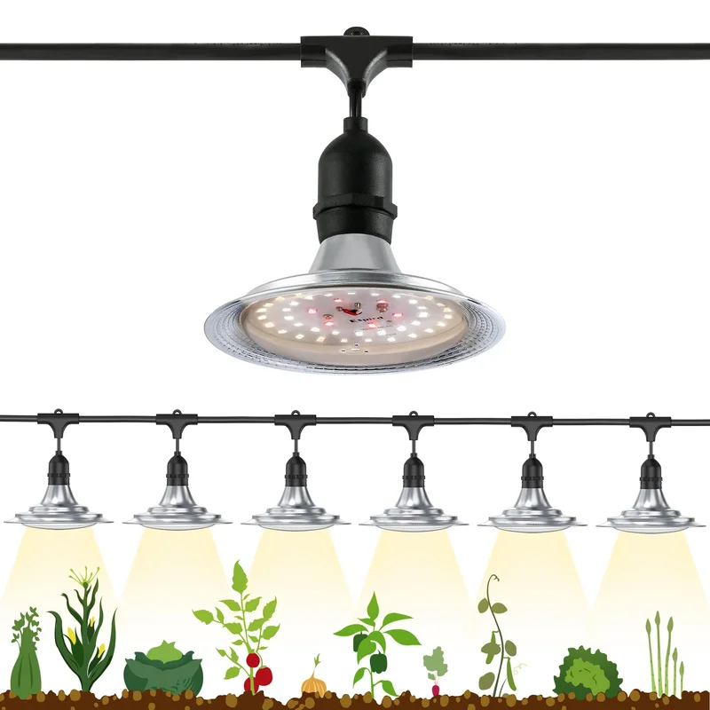 lightsdaddy115042