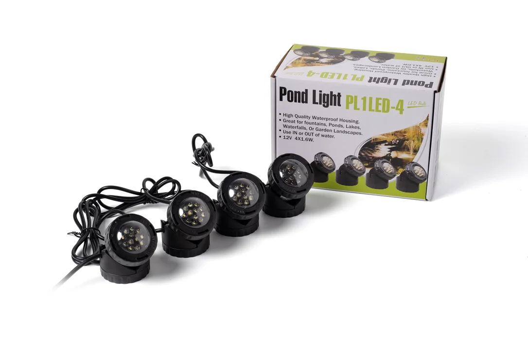 lightsdaddy120918