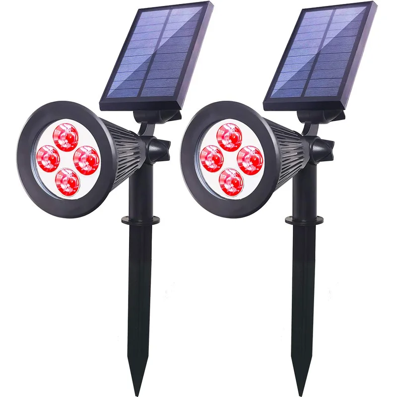 lightsdaddy122589