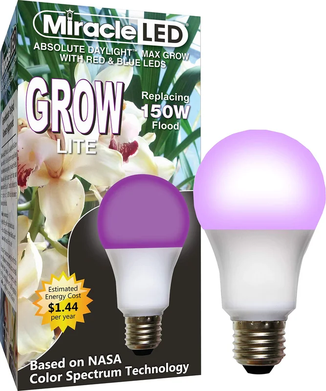 lightsdaddy125919