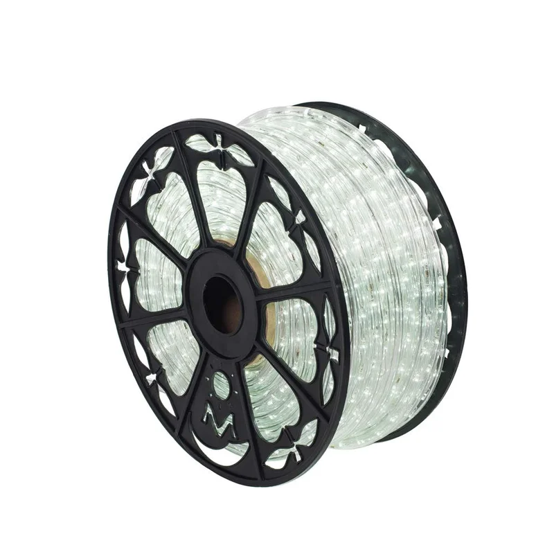 lightsdaddy169258
