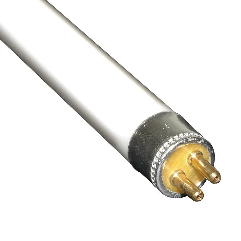 lightsdaddy179008