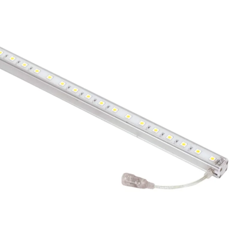 lightsdaddy179062