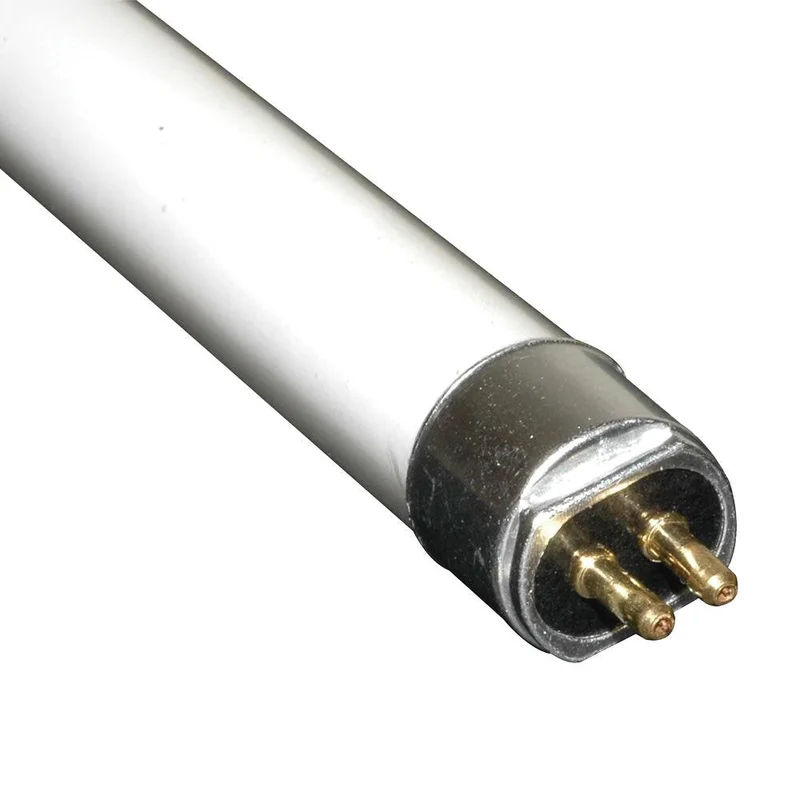 lightsdaddy179314