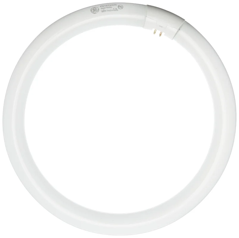 lightsdaddy185257