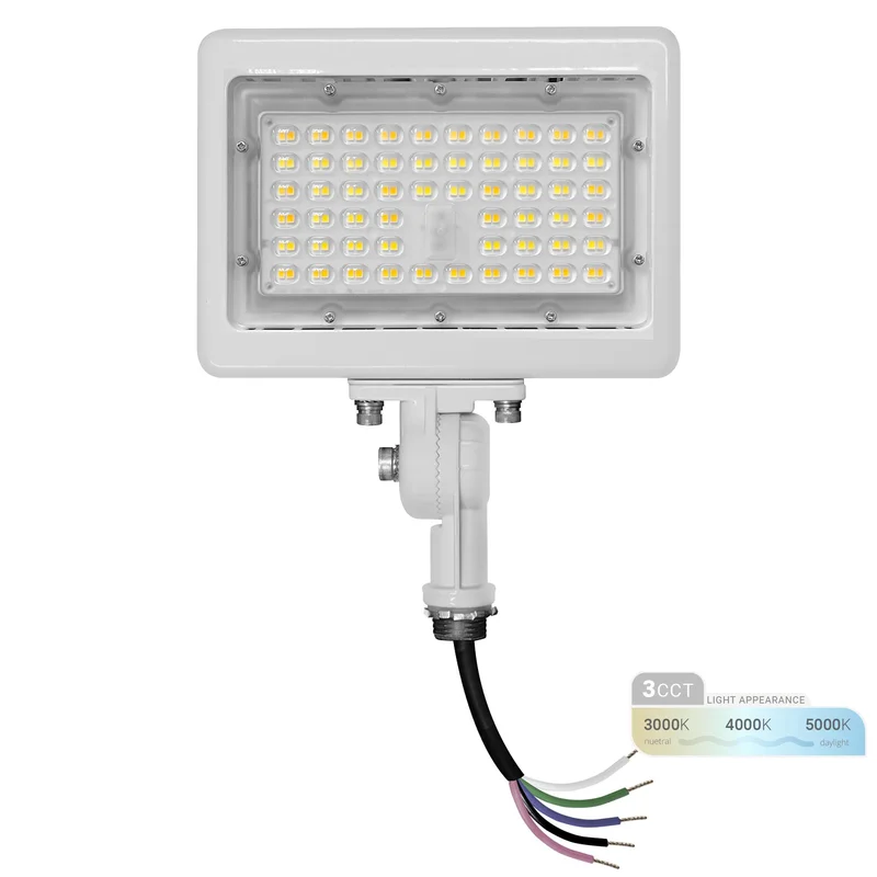 lightsdaddy190529