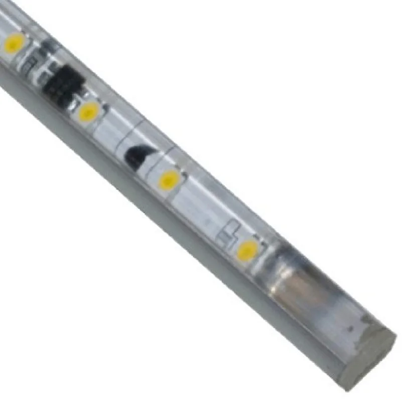 lightsdaddy194800