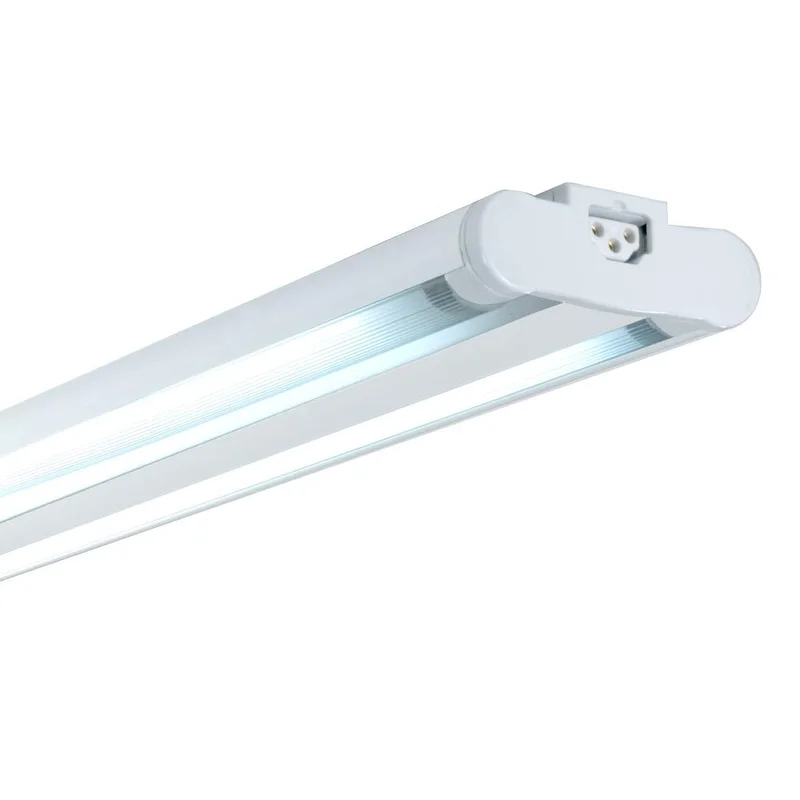 lightsdaddy197641