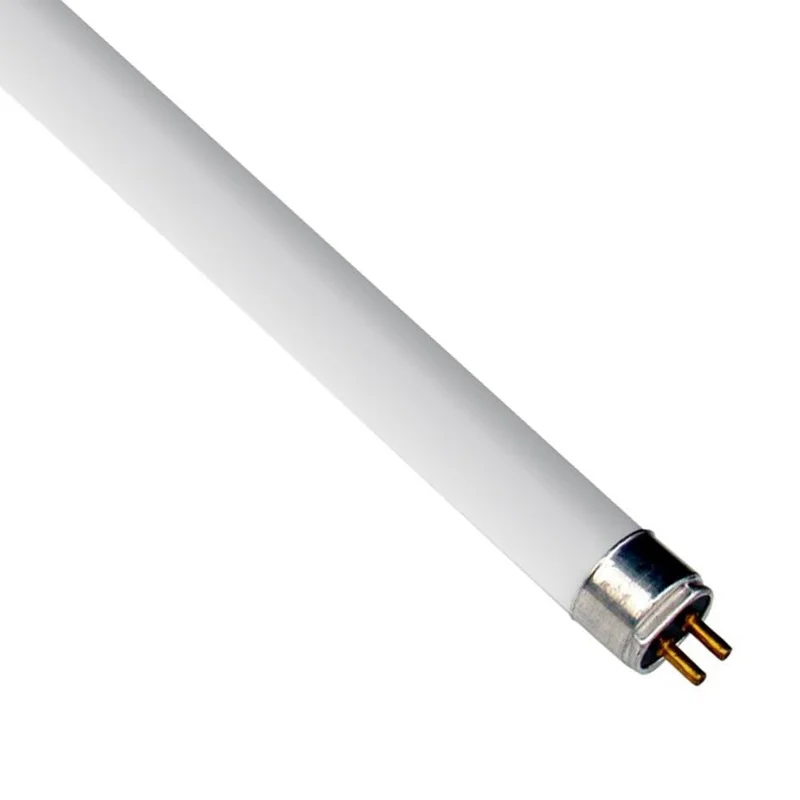 lightsdaddy197692