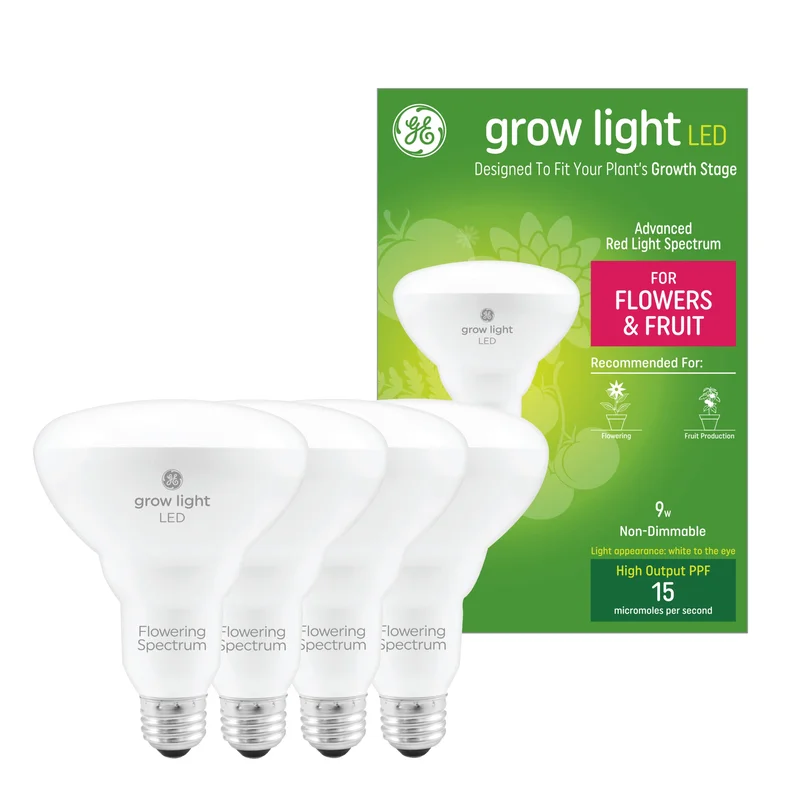 lightsdaddy209555