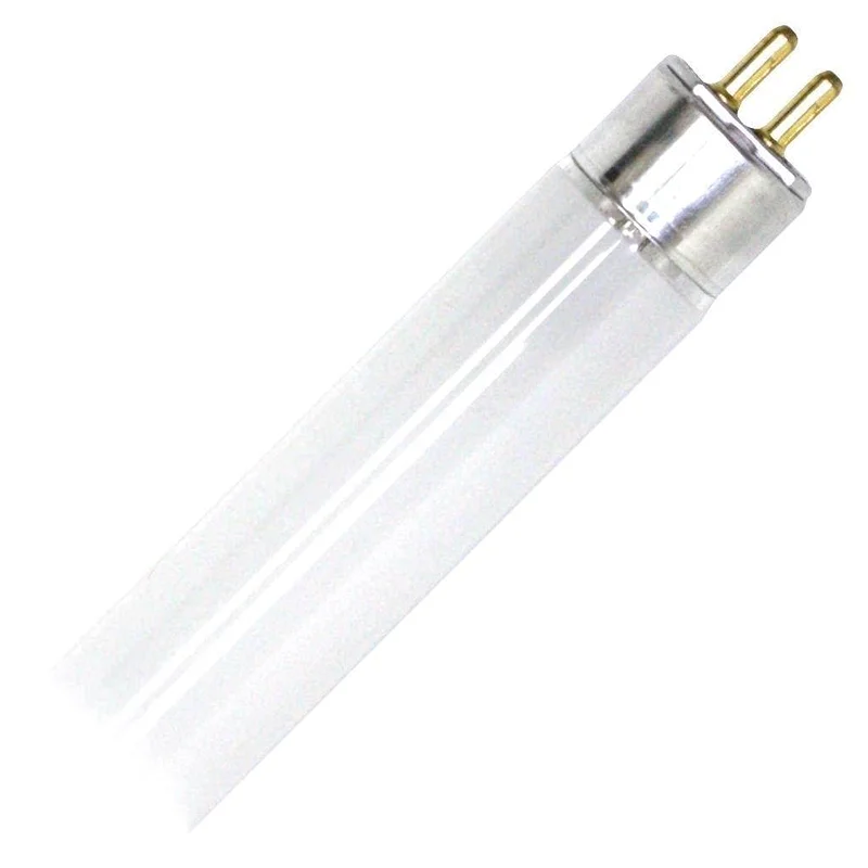 lightsdaddy239825