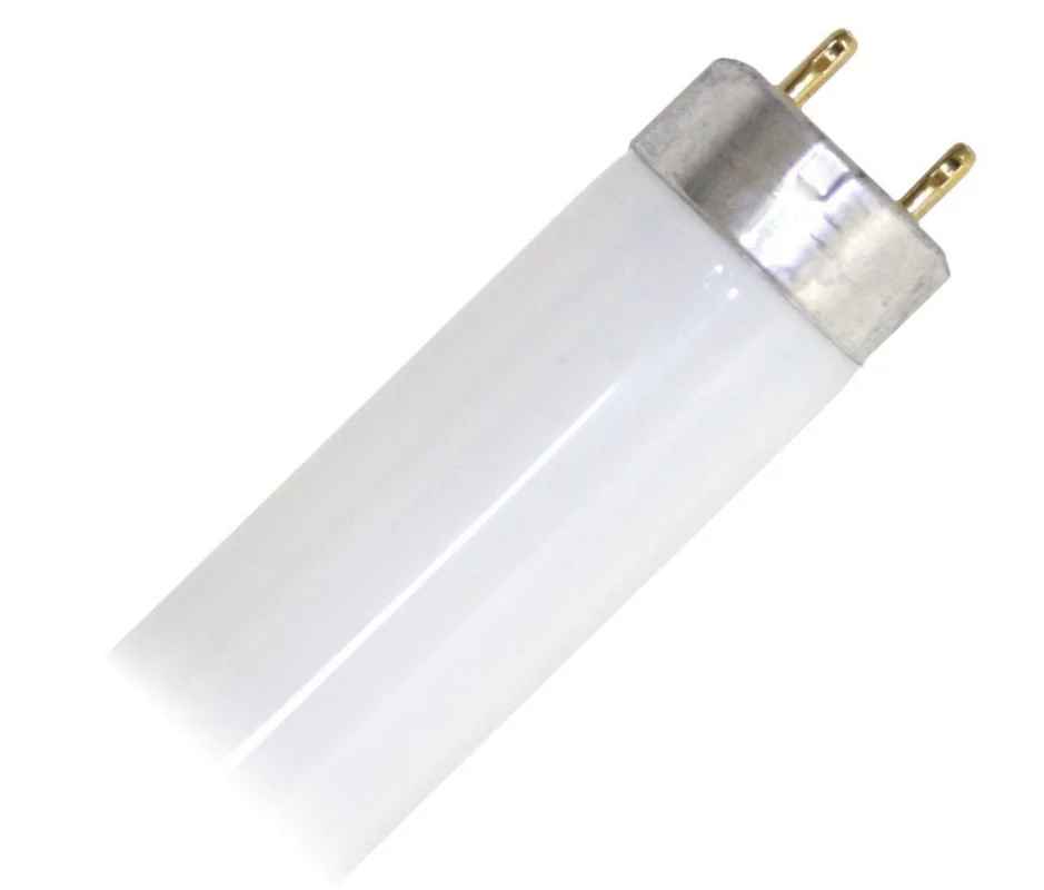 lightsdaddy240090