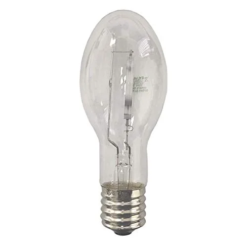 lightsdaddy240544