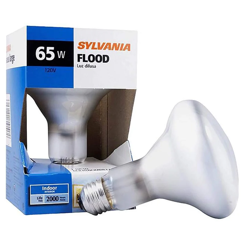 lightsdaddy240676