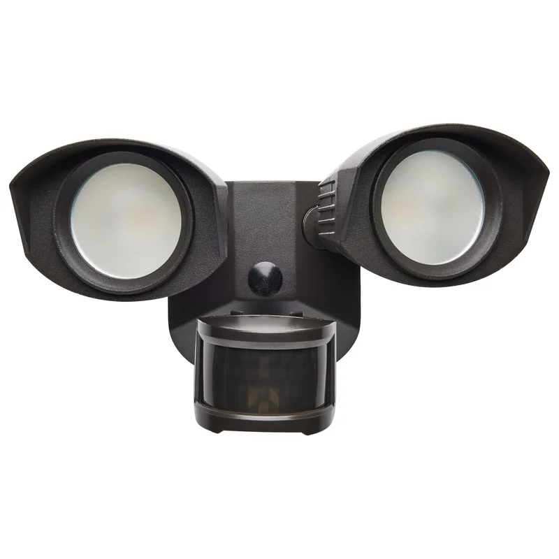 lightsdaddy241023
