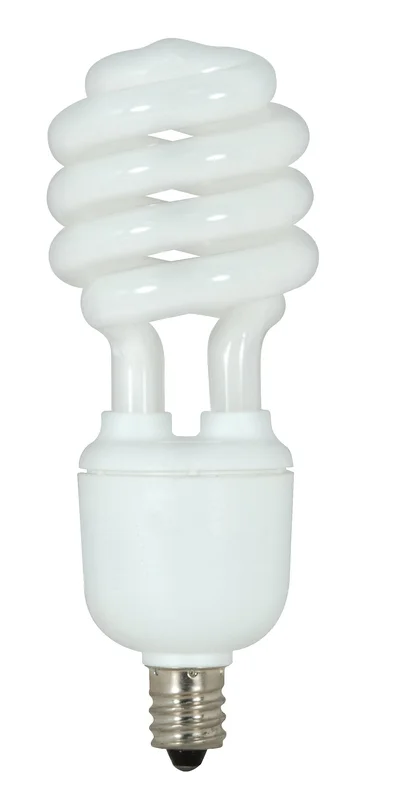 lightsdaddy241337