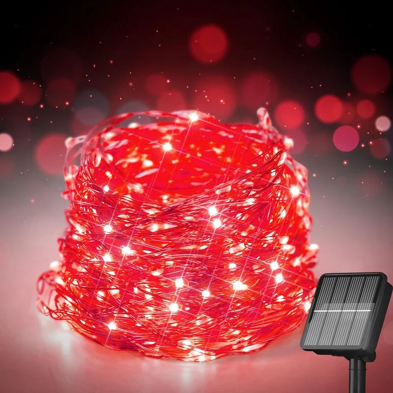 lightsdaddy246268