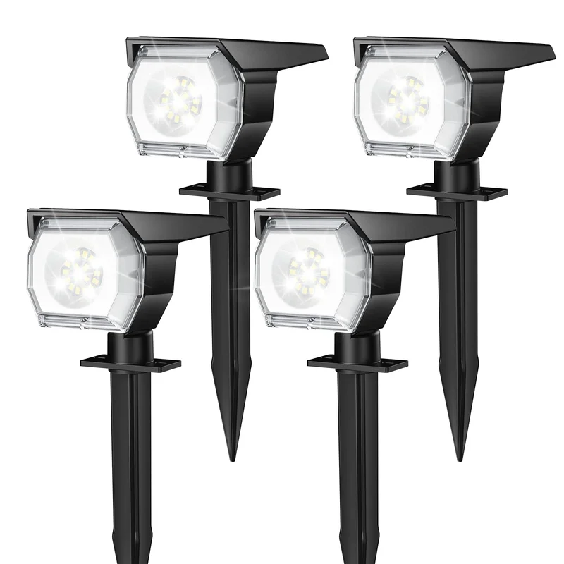 lightsdaddy248820