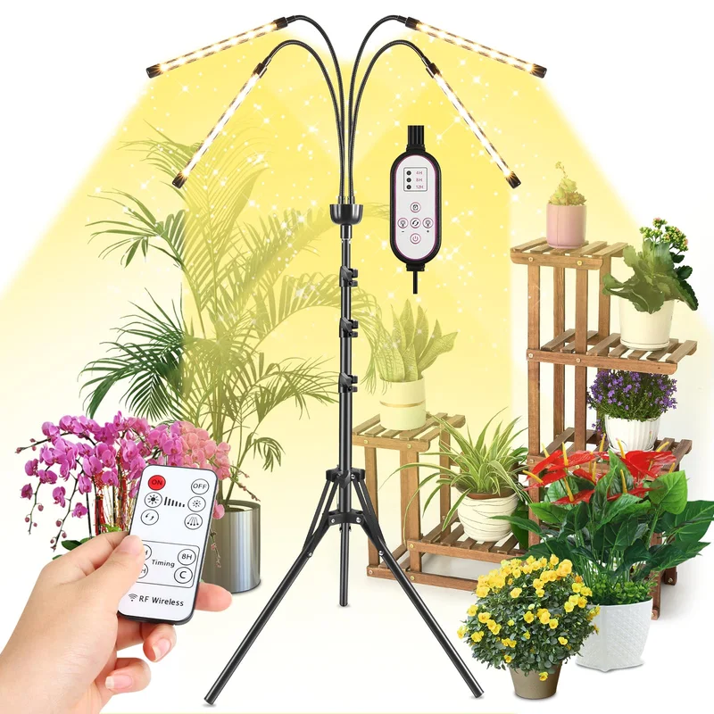 lightsdaddy255835