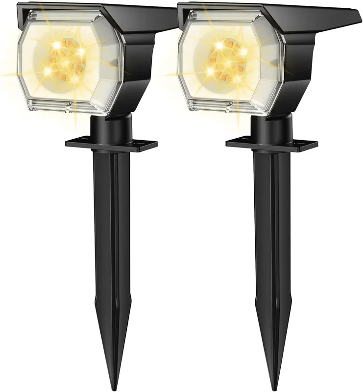 lightsdaddy256051