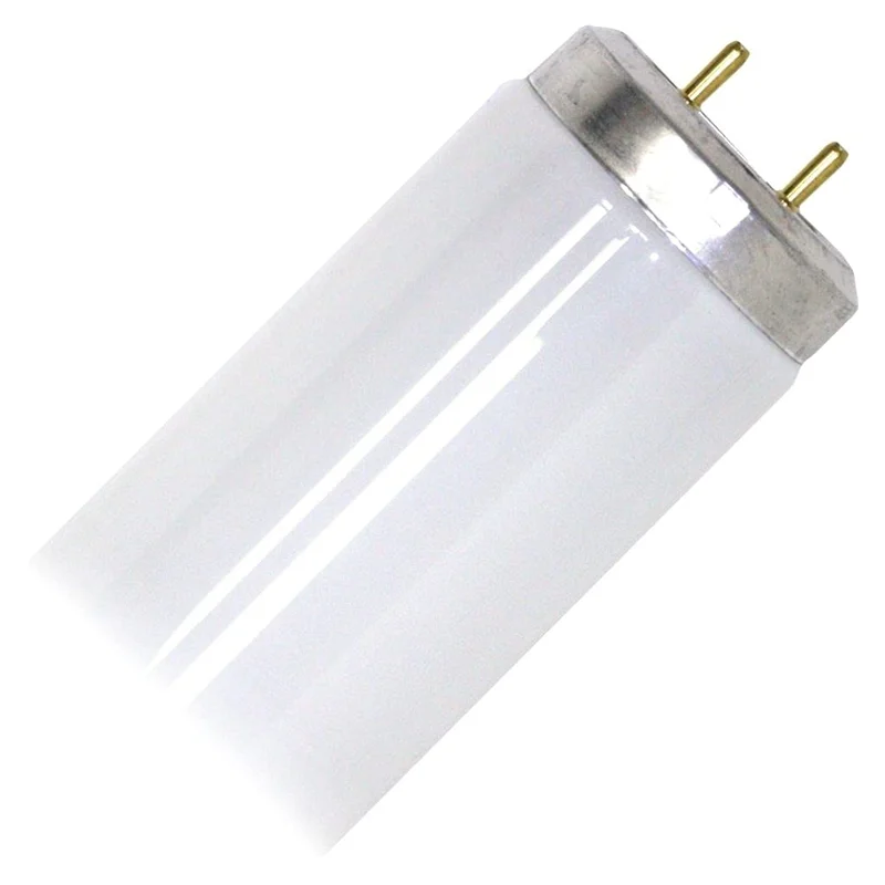 lightsdaddy289028