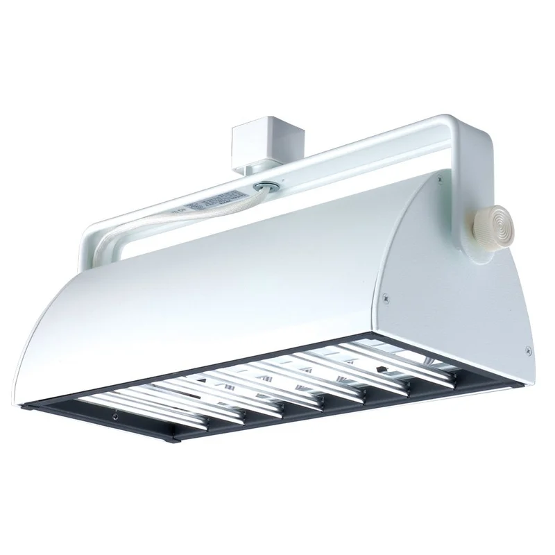 lightsdaddy296072
