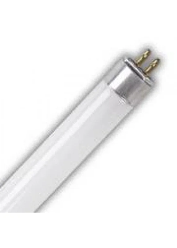 lightsdaddy297101