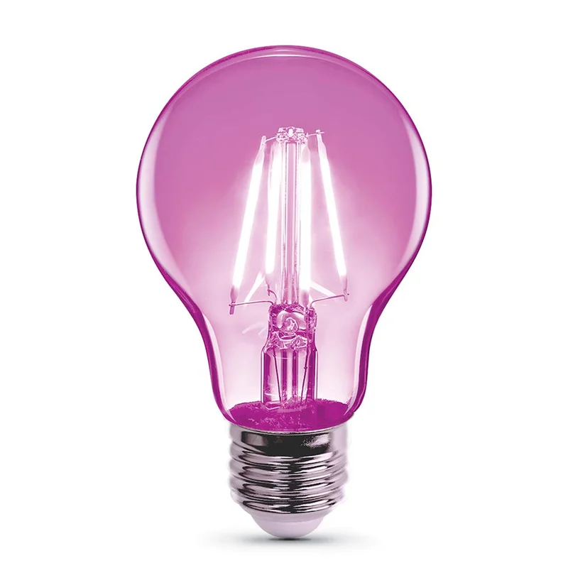 lightsdaddy303481