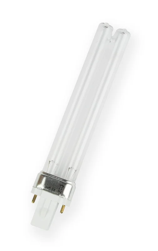 lightsdaddy304811