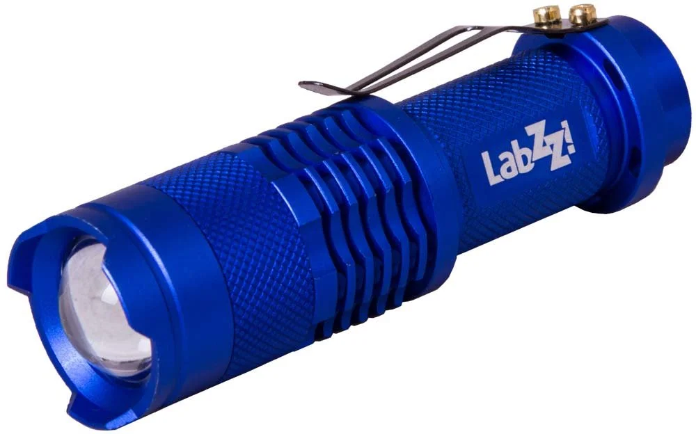 lightsdaddy311277