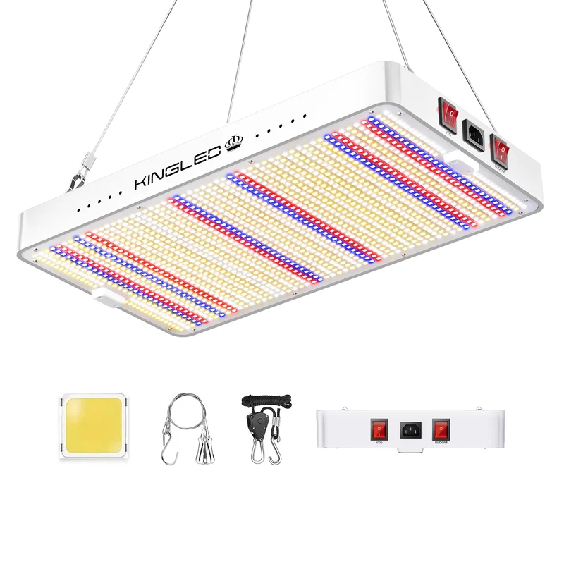lightsdaddy313906