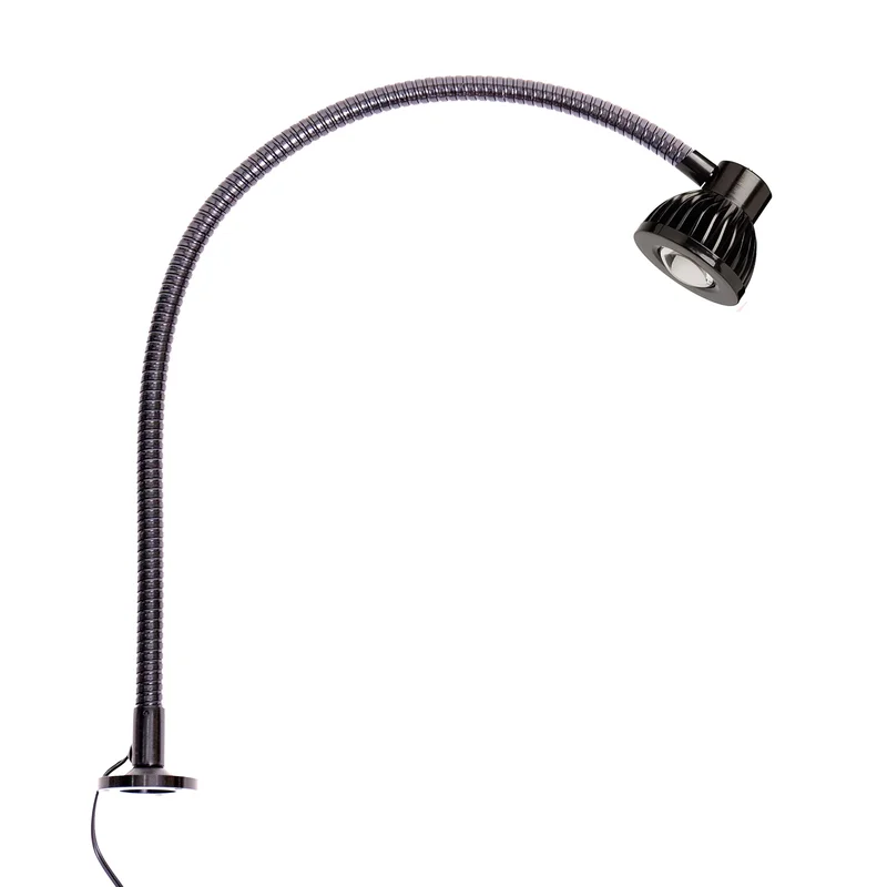 lightsdaddy317851