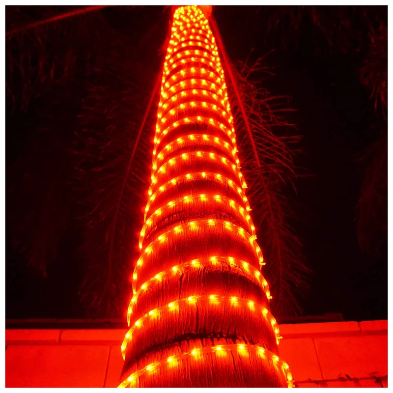 lightsdaddy321051