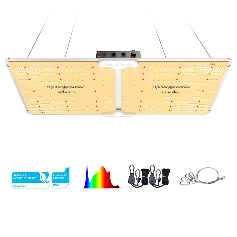 lightsdaddy321199