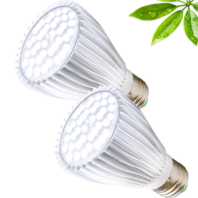 lightsdaddy329522
