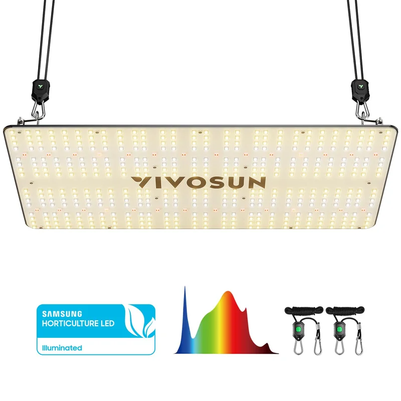 lightsdaddy330165