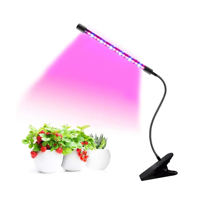 lightsdaddy331142