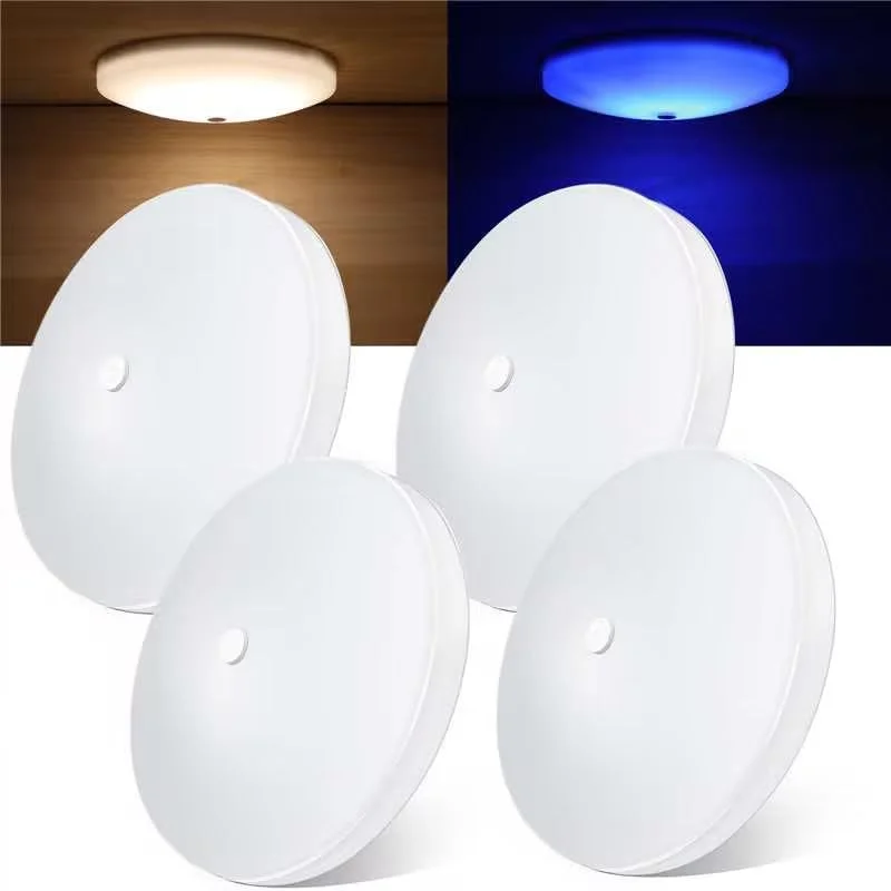 lightsdaddy335973