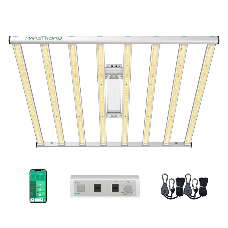 lightsdaddy337881