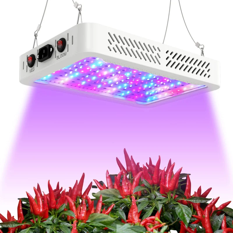 lightsdaddy340633