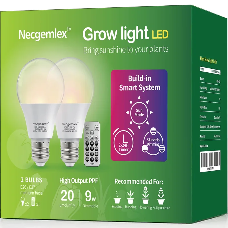 lightsdaddy349674