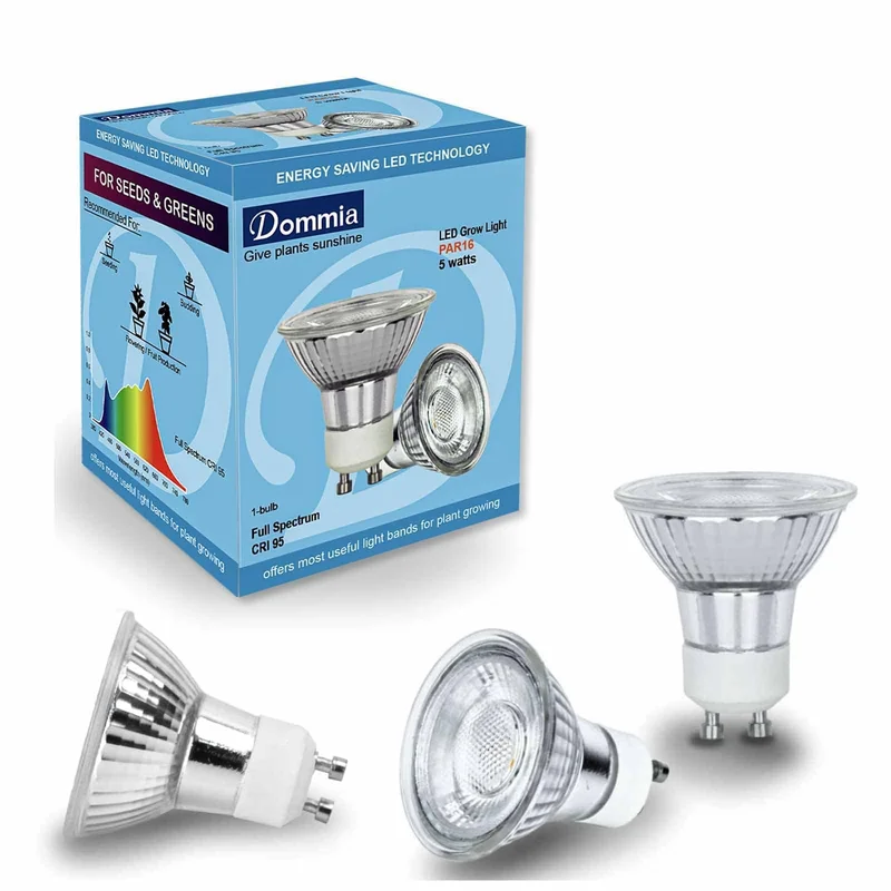 lightsdaddy351759