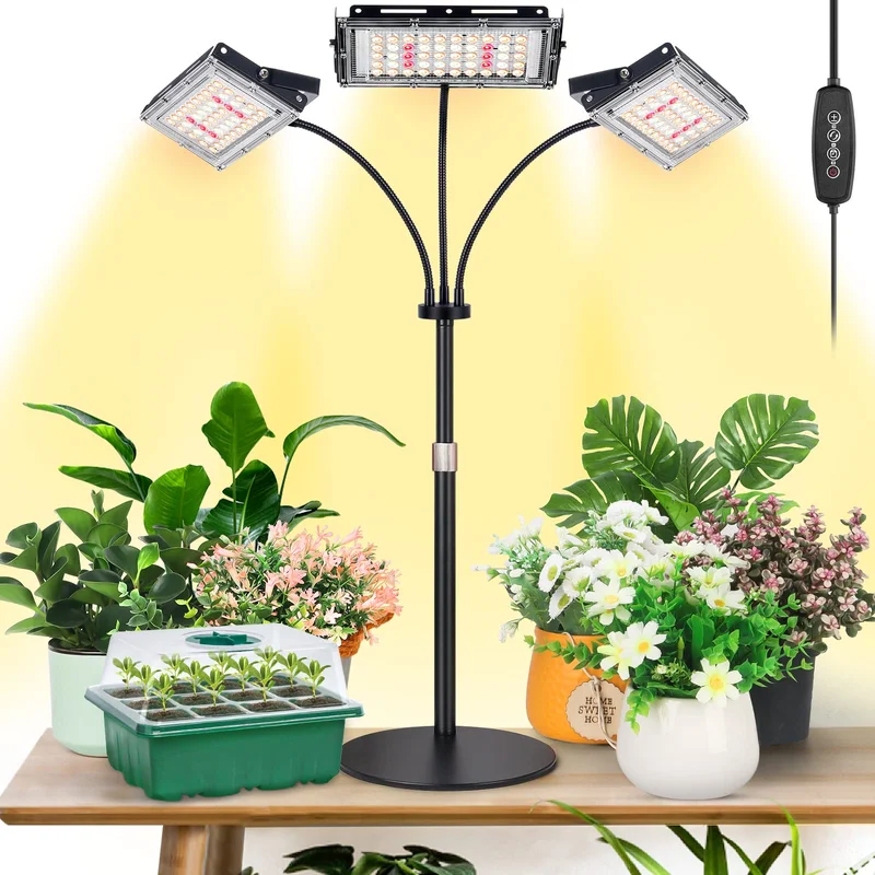 lightsdaddy354040