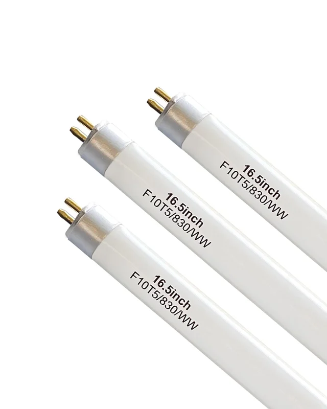 lightsdaddy356345